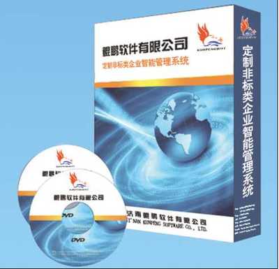 山東地區(qū)軟件開發(fā)與計(jì)算機(jī)系統(tǒng)服務(wù)全覽 非標(biāo)軟件、公眾號(hào)開發(fā)與系統(tǒng)解決方案